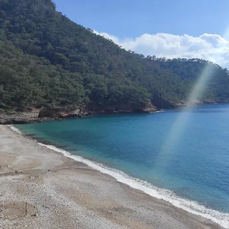Отель Kabak Lost Forest Фаралия