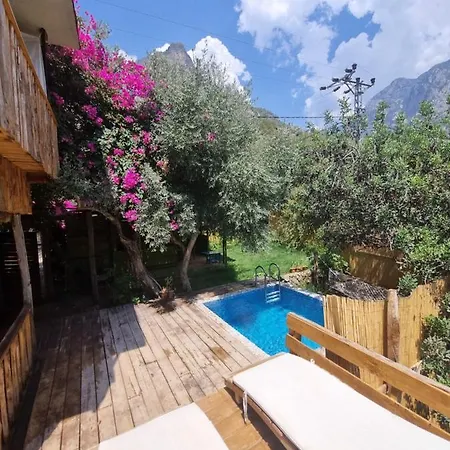 Отель Kabak Lost Forest