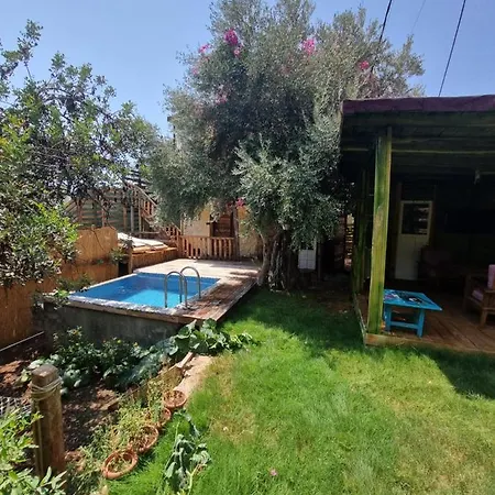 Szálloda Kabak Lost Forest 4*
