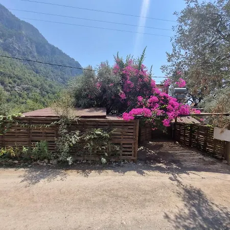Szálloda Kabak Lost Forest Faralya