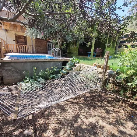 Szálloda Kabak Lost Forest 4*